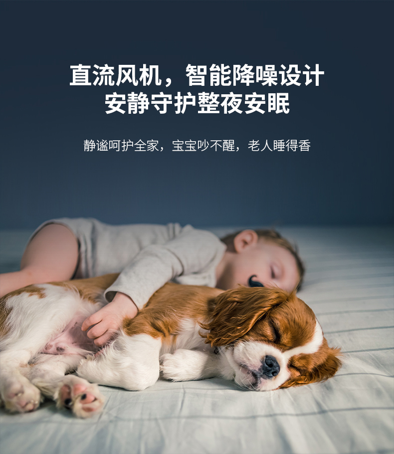 瑞莎-详情_07.jpg