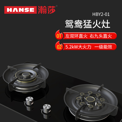 嵌入式鸳鸯猛火灶